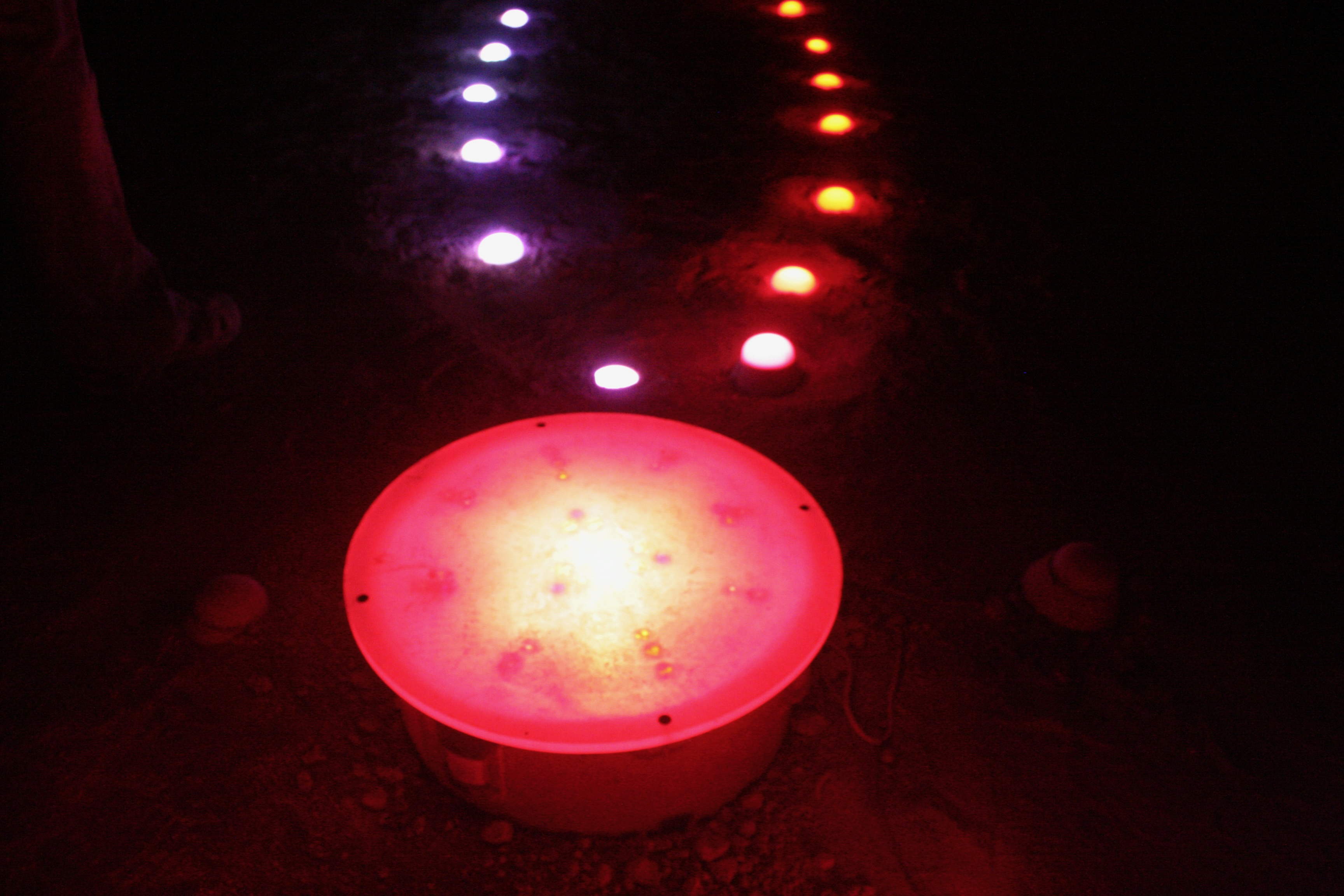 Sola Activated, 2005